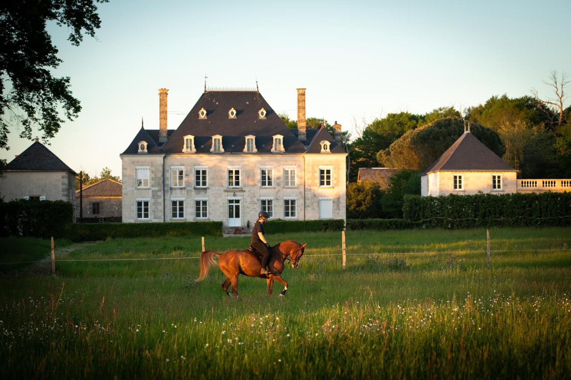 مبيت وإفطار Sanxay Domaine De La Briouse المظهر الخارجي الصورة
